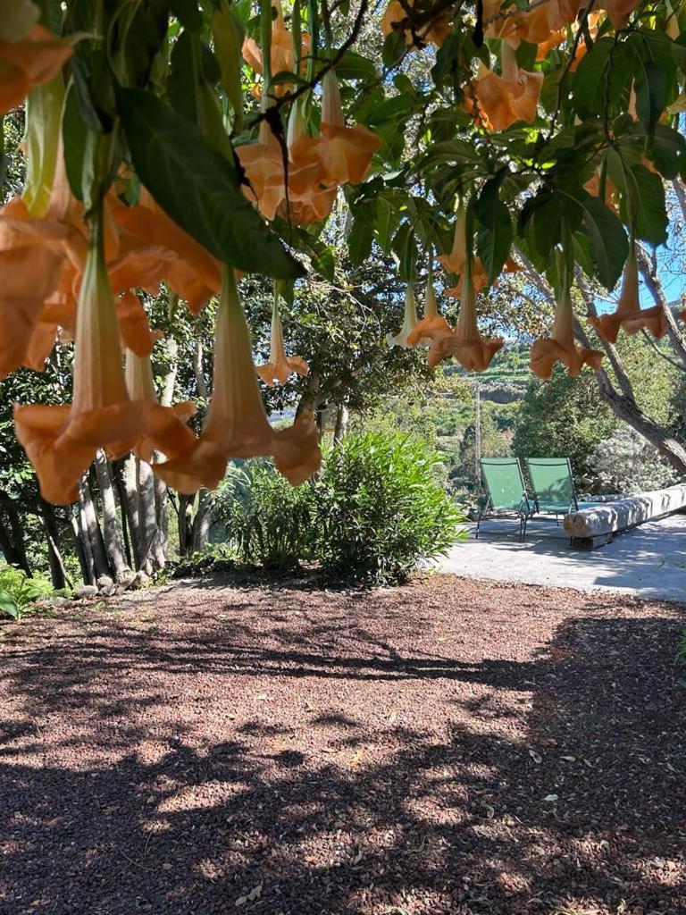 Vila La Casita Del Lagar Cerrogordo Exteriér fotografie